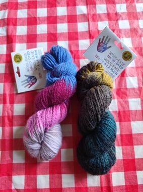 Lion Brand Wool-Ease Hand Dyed Yarn 2 skeins.